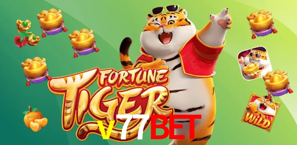 Statistics v77bet